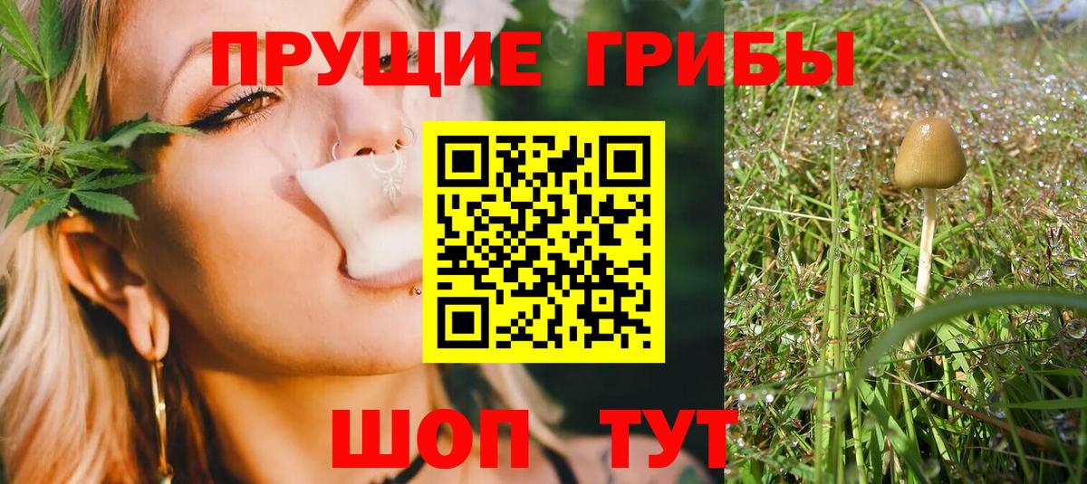 наркотики  Псилоцибиновые грибы мухоморы  Вход с VPN  Бийск 