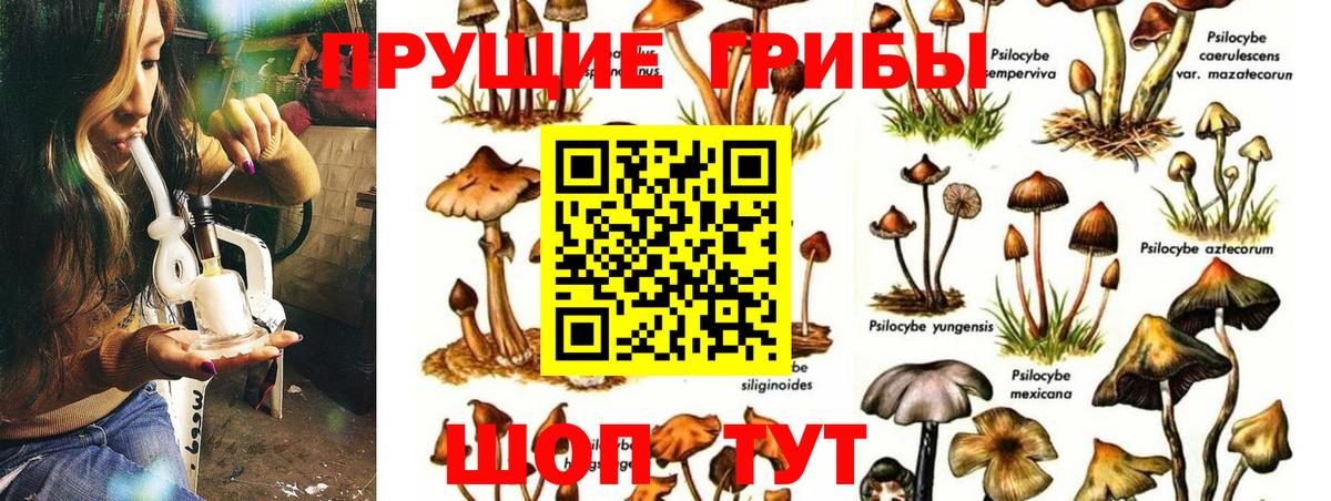Псилоцибиновые грибы Magic Shrooms Бийск